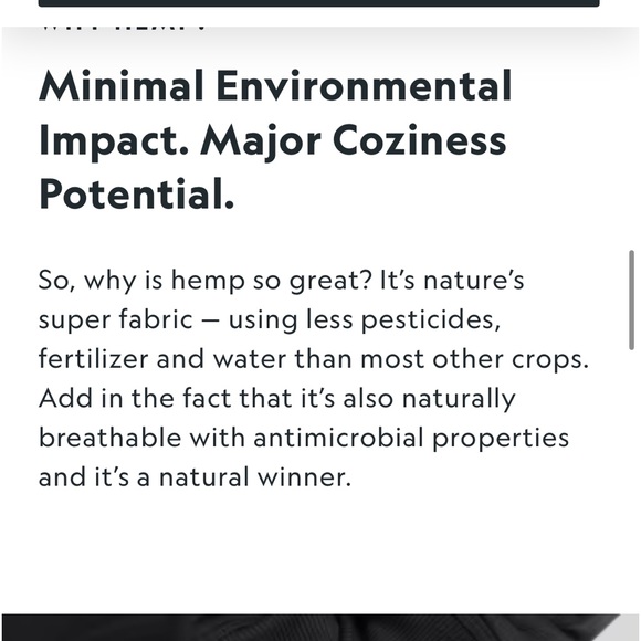 NWT allbirds Mens R&R SweatPants In Hazy Pine - Picture 10 of 16